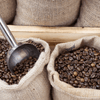 Wholesale Coffee Companies Explained