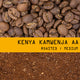 Kenya Kamwenja AA Nº 295