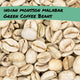 Indian Monsooned Malabar AA Green Coffee Beans