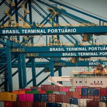 Brewing Trouble: Brazil’s Coffee Woes