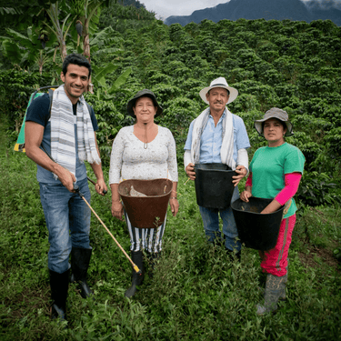 How to Understand the Logistics of Wholesale Coffee Distribution