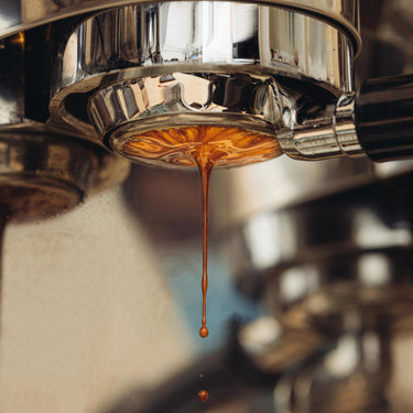 Coffee Brewing Ratio: The Perfect Cup Guide
