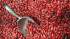 How to Develop a Sustainable Sourcing Strategy for Wholesale Coffee