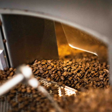 A Short History of Robusta’s Redemption