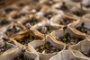 The Magical Alchemy of Composting...