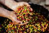 The Exciting World of Coffee Tasting Notes