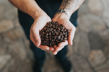 How is Decaf Coffee Made?