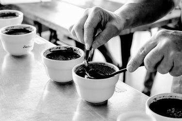 World Coffee News - April 2026