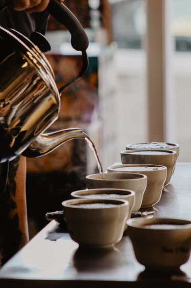 COFFEE CUPPING LIKE A PRO