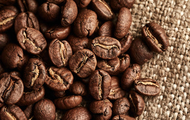 Brew Better Coffee: Why the Size of Your Coffee Grind Really Matters