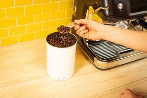 Airscape Coffee Storage