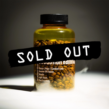 A RAVE COFFEE #0004 Sebastián Ramírez Pink Bourbon Session IPA 150g plastic bottle, labeled with flavor notes and honey anaerobic fermentation, sits on a white surface. A bold black SOLD OUT strip covers the bottle’s middle.