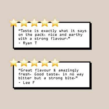 Two white rectangles each display five gold stars. Ryan T praises the bold coffee taste and earthiness of Mocha Java Blend Nº 3, while Lee F highlights its flavor, freshness, and strong bite as premium coffee beans.