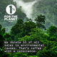 Misty green forest featuring the 1% For The Planet logo on a Coffee E-gift Card, representing a donation of 1% of sales to environmental causes for coffee with a conscience.