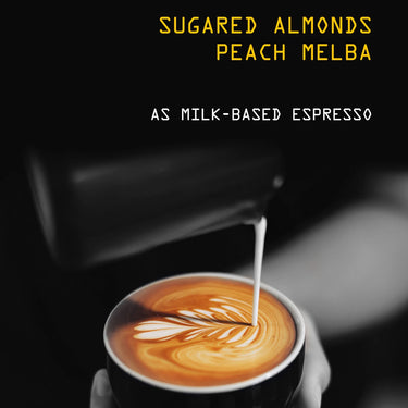 Ethiopia Bench Sheko Nº 307 - as milk based espresso: sugared almonds, peach melba