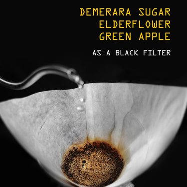 Burundi Izuba Anoxic Washed N°312