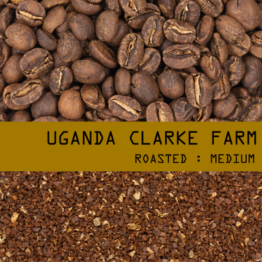 Uganda Clarke Farm Nº 316