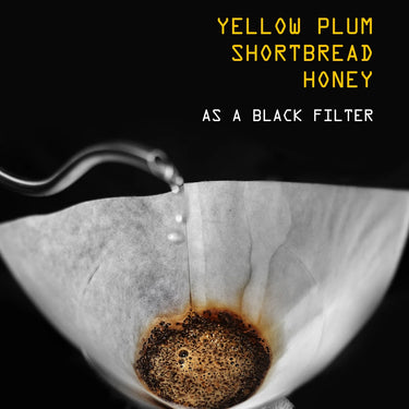 Guatemala_Francisco_Morales Coffee No 328 -  black tasting note: Yellow Plum, Shortbread, Honey