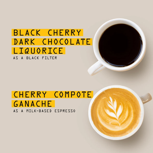 Two cups of RAVE COFFEE's Burundi Izuba Nº 334 on beige: the black coffee evokes black cherry, dark chocolate, and liquorice; the latte features sweet cherry compote and ganache notes.