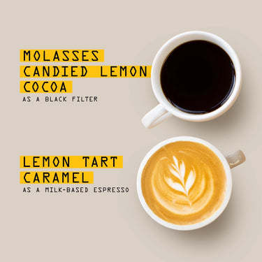 Two cups on a light background: the top with RAVE COFFEE’s Ethiopia Aricha Adorsi Nº 346 black (molasses, candied lemon, cocoa); the bottom with milk (lemon tart, caramel) and latte art.
