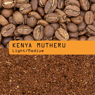 Close-up of whole Kenya coffee beans above ground coffee, centered with an orange label reading 