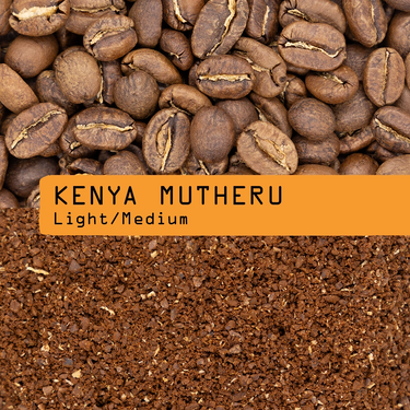 340 Kenya Mutheru Roast level