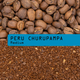 Coffee beans and ground coffee with 'PERU CHURUPAMPA Medium' label