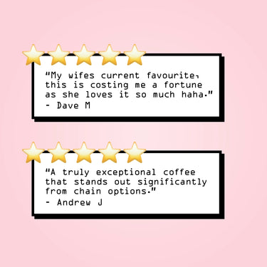 Two five-star reviews on a pink background. The first calls RAVE COFFEE’s Mexico Café El Zapoteco Nº 342 their favorite organic coffee, worth every penny. The second praises its exceptional quality from smallholder producers over chain alternatives.