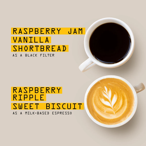 Two cups sit on a beige background. The top contains RAVE COFFEE's Tanzania Tarime Natural Nº 343 with black filter notes of raspberry jam and vanilla shortbread, while the bottom latte reveals berry fruit in a “Raspberry Ripple Sweet Biscuit” espresso.