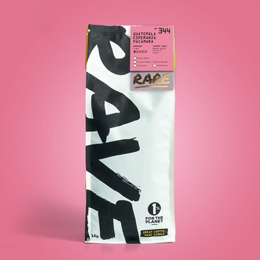 A white bag of RAVE COFFEE stands upright on a pink background, labeled Guatemala Esperanza Pacamara Nº 344. Bold black RAVE COFFEE text appears on the bag, with a coffee details label at the top.