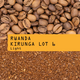 Coffee beans with a label indicating 'Rwanda Kirunga Lot 6 Light' on a brown background.