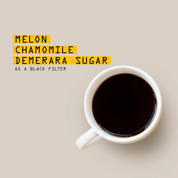 A cup of black coffee on a light beige background with text: Melon, Chamomile, Demerara Sugar, featuring Mexico Finca Chelín Nº 351 by RAVE COFFEE—a honey process Mexican black filter—in bold yellow and black highlighted letters.