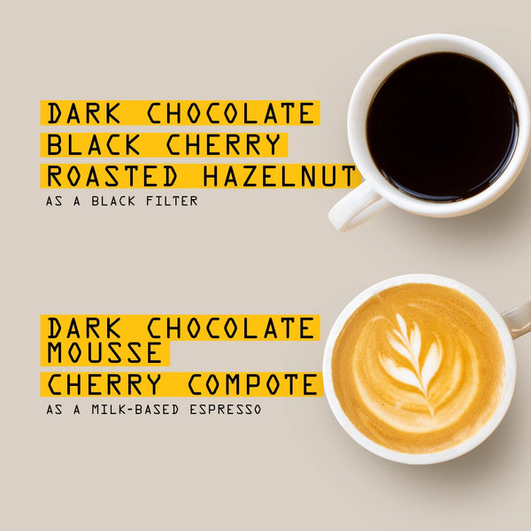 Two coffee cups with text describing different coffee flavors on a beige background