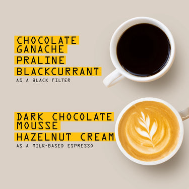 Two cups viewed from above: the top cup is RAVE COFFEE Colombia Cencoic Tacueyo Nº 358, the bottom a milk-based espresso with latte art. Coffee flavors and notes are labeled in yellow on a beige background.