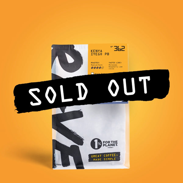 A bag of RAVE COFFEE Kenya Iyego PB Nº 362 against a yellow background, featuring a black sticker that says SOLD OUT diagonally across the center.
