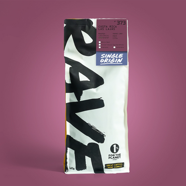 A 1kg bag of Single Origin Coffee from Costa Rica (Rancho Las Lajas) by the brand 'Rave', shown on a solid mauve-pink background.