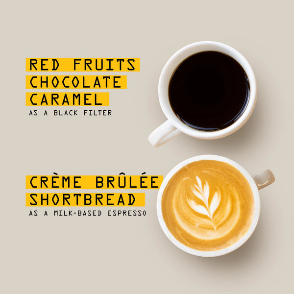 Two cups of Colombia El Carmen Nº 50 coffee rest on a light background. The black coffee highlights red fruits, chocolate, and caramel; the milk espresso has crème brûlée and shortbread notes—all mycotoxin tested.