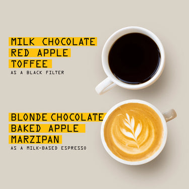 Top-down view of two coffee cups on a light surface—one with black Guatemala Bosques de San Francisco Nº 52 and the other with milky espresso and latte art. Flavor notes for each balanced sweet coffee are listed nearby, featuring Coffee Bird.