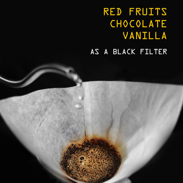 Colombia El Carmen Sugarcane Decaf Nº 77