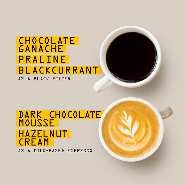 Two cups viewed from above: the top cup is RAVE COFFEE Colombia Cencoic Tacueyo Nº 358, the bottom a milk-based espresso with latte art. Coffee flavors and notes are labeled in yellow on a beige background.
