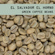 El Salvador El Horno - Green Coffee Beans