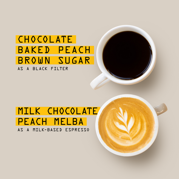 Seen from above, two coffee cups—one with black coffee in the top right, one with latte art below—highlight the tasting notes for Ethiopia Ky Kebero Nº 363 by RAVE COFFEE. Yellow text blocks list flavour notes: chocolate, baked peach, brown sugar for black filter; milk chocolate, peach melba for milk-based espresso. 