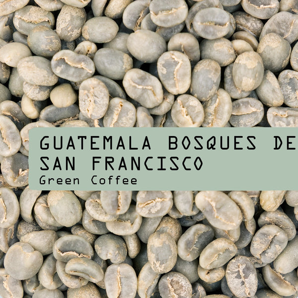 A close-up of unroasted Guatemala Bosques de San Francisco Green Coffee Beans by RAVE COFFEE, ideal for home roasting enthusiasts.