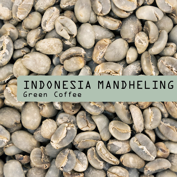 A close-up of unroasted Indonesia Mandheling Green Coffee Beans by RAVE COFFEE—ideal for home roasting and perfect for fans of Sumatra coffee.