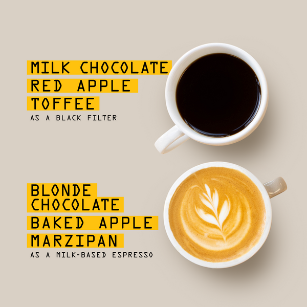 Top-down view of two coffee cups on a light surface—one with black Guatemala Bosques de San Francisco Nº 52 and the other with milky espresso and latte art. Flavor notes for each balanced sweet coffee are listed nearby, featuring Coffee Bird.