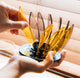 A person arranges Suiren Ribs (set of 6) by Hario—translucent yellow and brown, leaf-shaped pieces—on a round black base, evoking V60 dripper ribs, with wooden blinds and sunlight behind.