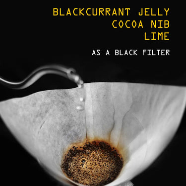 Indonesia Kerinci Anaerobic Honey Nº 336