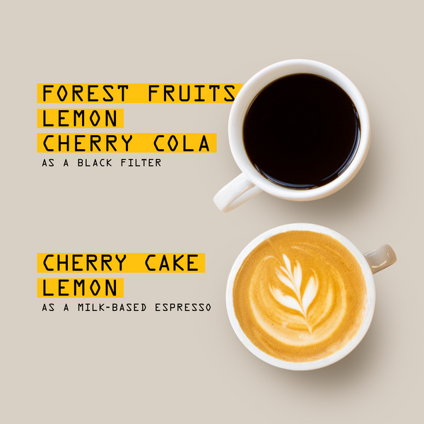 Seen from above, two coffee cups—one with black coffee in the top right, one with latte art below—highlight the tasting notes for Kenya Tegu AA Nº 380 by RAVE COFFEE. Yellow text blocks list flavor notes: forest fruits, lemon, and cherry cola for black filter; cherry cake and lemon for milk-based espresso. This vibrant medium roast from Nyeri County captures the region's renowned brightness and complexity in every cup.