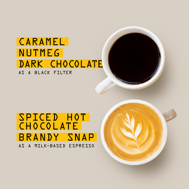 Two cups viewed from above: the top cup is RAVE COFFEE Peru Amigos del Oso Nº 350, the bottom a milk-based espresso with latte art. Coffee flavors and notes are labeled in yellow on a beige background.