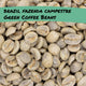 Brazil Fazenda Campestre Green Coffee Beans